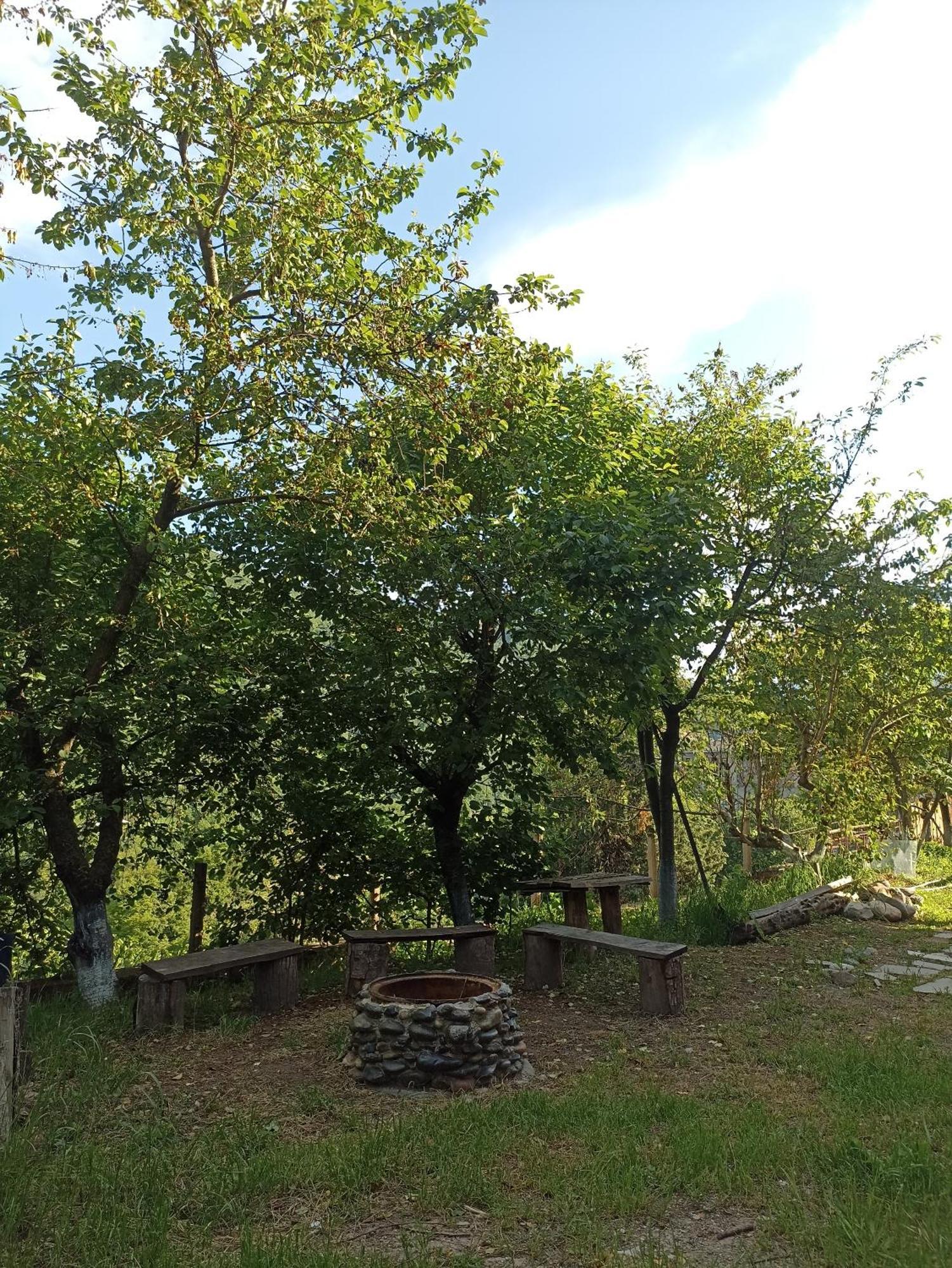 Green Garden Կանաչ Այգի Ijevan Exterior photo
