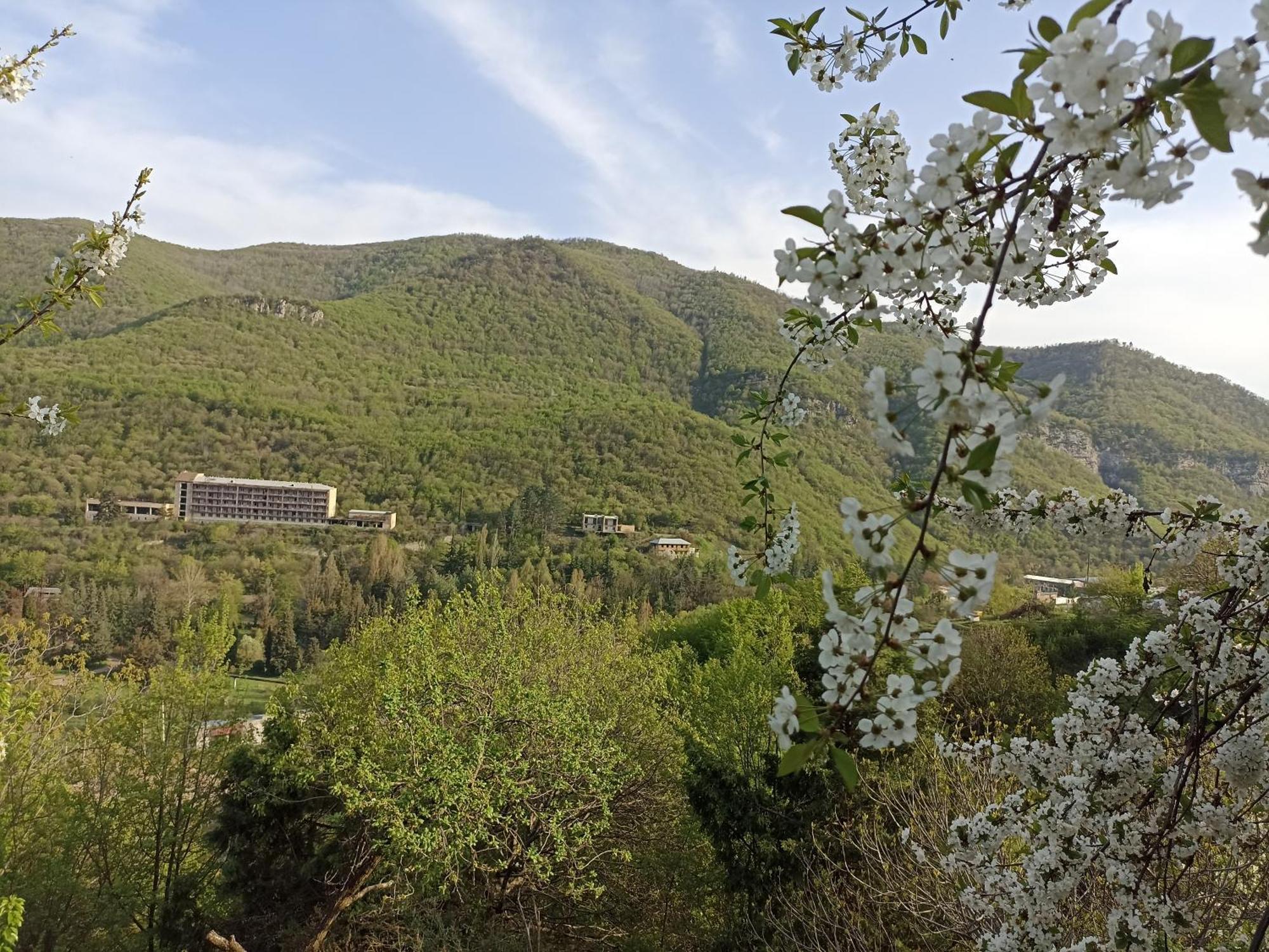 Green Garden Կանաչ Այգի Ijevan Room photo